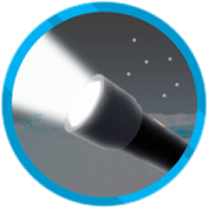 Gamepass Flashlight — Expedition Antartica